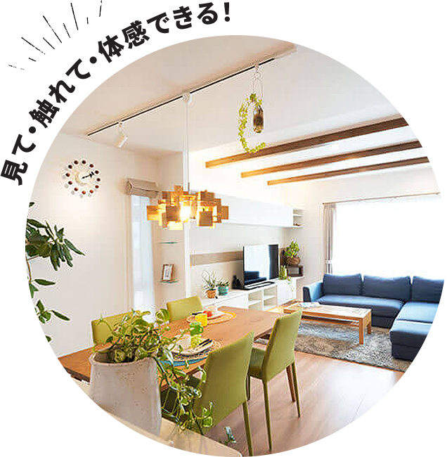 見て・触れて・体感できる!