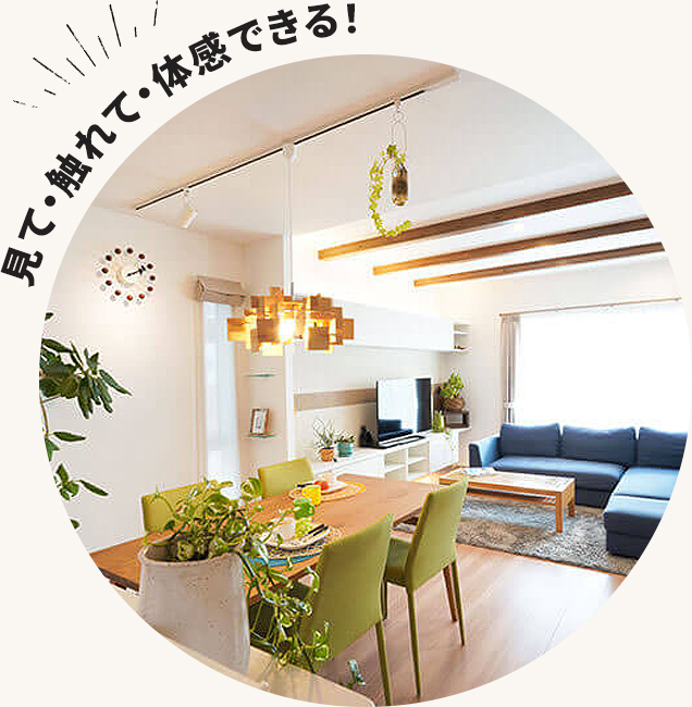 見て・触れて・体感できる！