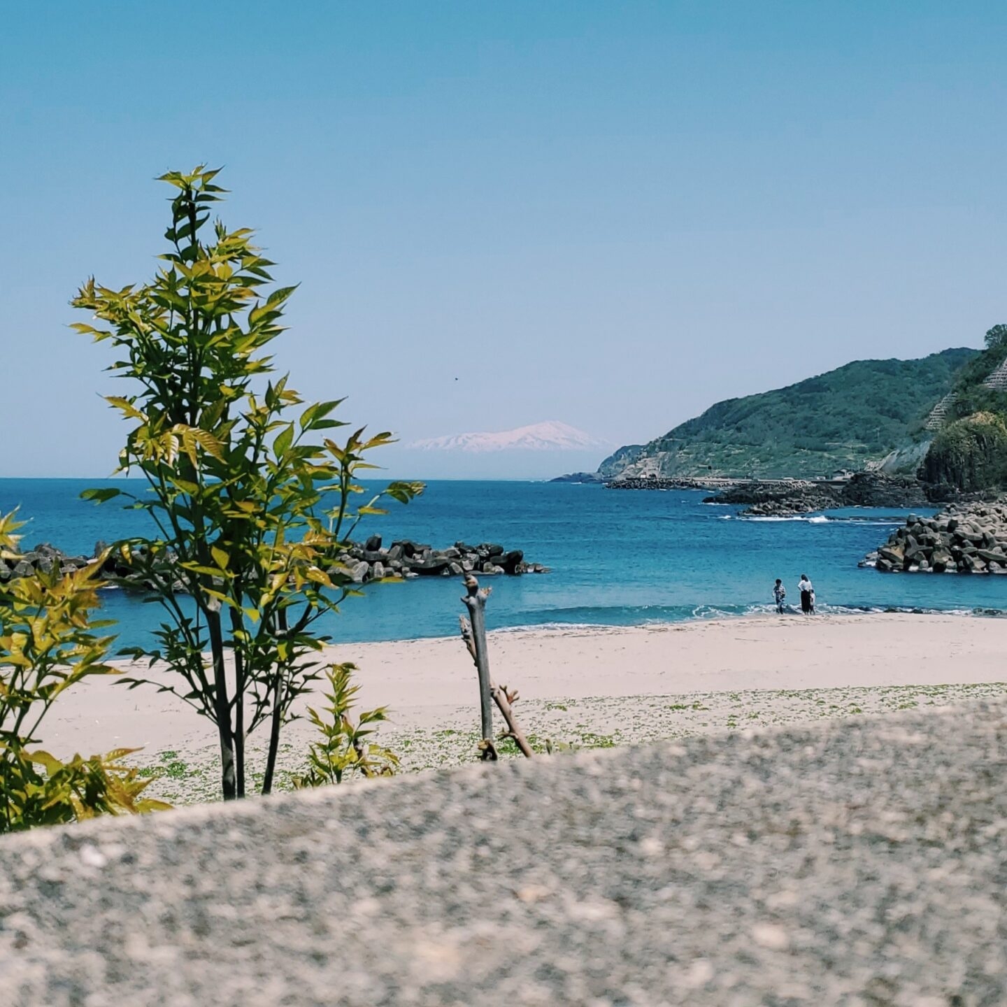 技術部　長谷川