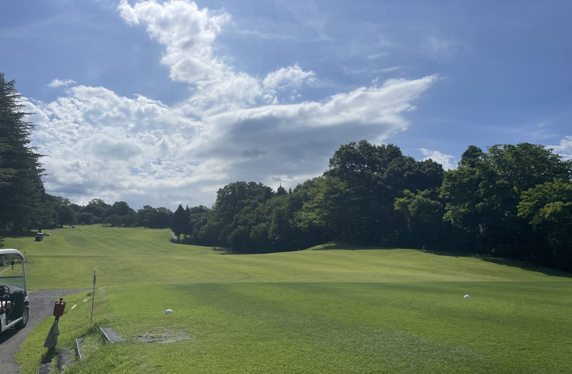 新たなチャレンジ