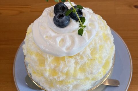 夏の風物詩と言えば…